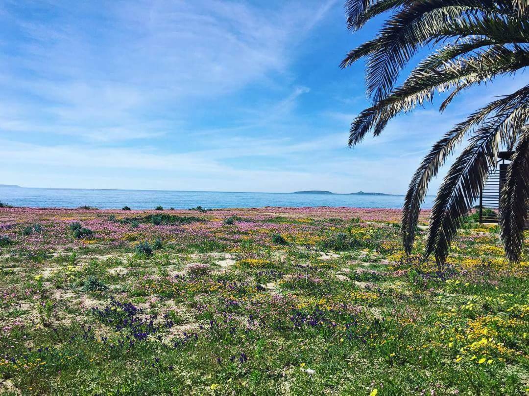 Affittacamere Acquamarina Oristano Exterior foto